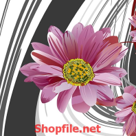 bông hoa cúc tím nhị vàng