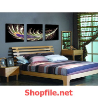 tranh trang trí chiếc lông vũ