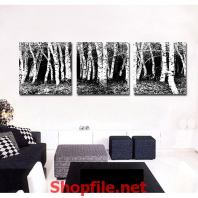 khu rừng của những cái cây khô