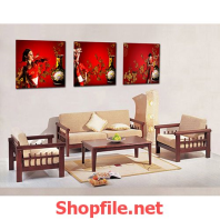 bức họa cô gái trung hoa