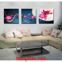 bông hoa đào và mặt trăng tròn