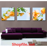 cây hoa màu vàng và ánh mặt trời