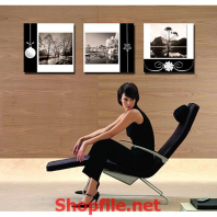 những cái cây và dòng sông