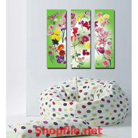 những bông hoa khoe sắc màu