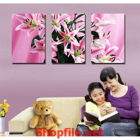 bông hoa ly của mẹ