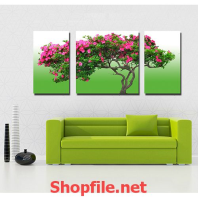 cây hoa đào của bố