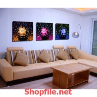 bông hoa muôn sắc trong chiếc ly