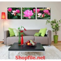 bông hoa sen nở rộ