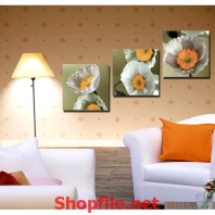 bông hoa dại trắng xóa