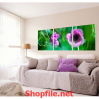 hoa cỏ dại sắc tím