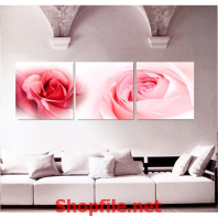 bông hoa hồng tươi tắn