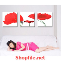 cô gái xinh đẹp và bông hoa đỏ thắm