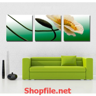 bông hoa sắc trắng nhị vàng