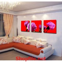 bông hoa giấy tím nền đỏ