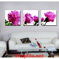 bông hoa tím nền trắng