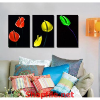 bông tam sắc đẹp