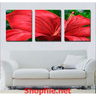 bông hoa la kèn đỏ