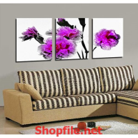 cây bông giấy hoa màu tím