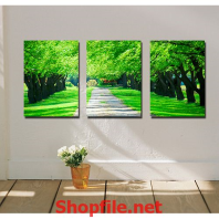 hành cây xanh tươi