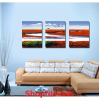 cánh đồng hoa đỏ và cánh chim