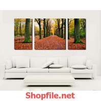 khu vườn cây to là rụng