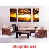 cây cổ thụ và ánh hoàng hôn