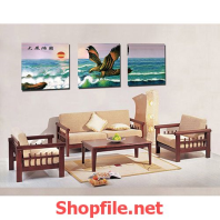 chim ưng và đại dương