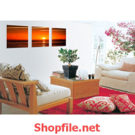 cánh chim ngoài biển khơi