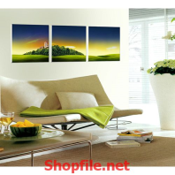 đồng cỏ xanh tươi