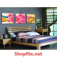 bông hoa cúc hồng với cầu vòng