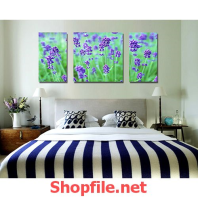 bông hoa màu tím đẹp