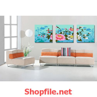 bông hoa sen trắng hồng