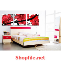 bức tranh treo tường hoi dâm bụt