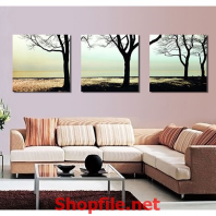 cái cây khô bên dòng sông