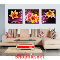 bông hoa ly vàng nở rộ