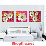 bông hoa trắng trong nền hồng đẹp