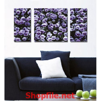 tranh dán tường màu tím