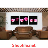 tranh treo tường bông hoa màu hồng nền đen