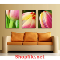 tranh treo tường cây bông hoa ly