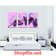 tranh treo tường cành hoa phong lan