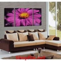 tranh treo tường bông hoa cúc màu tím