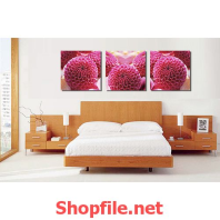 tranh treo tường quả cầu hồng