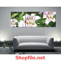 bông hoa lan trắng tranh treo tường