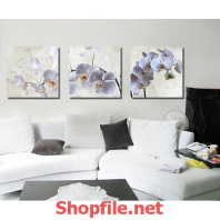 tranh treo tường bông hoa phong lan trắng
