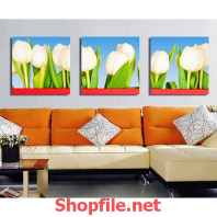 tranh treo tường hoa tuy líp trắng