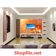 giấy dán tường bông hoa màu rực lửa