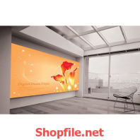 giấy dán tường đỉnh