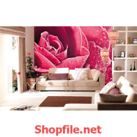 giấy dán tường hoa hồng