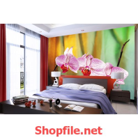 giấy dán tường bông hoa lan đẹp