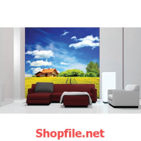 giấy dán tường cánh đồng hoa